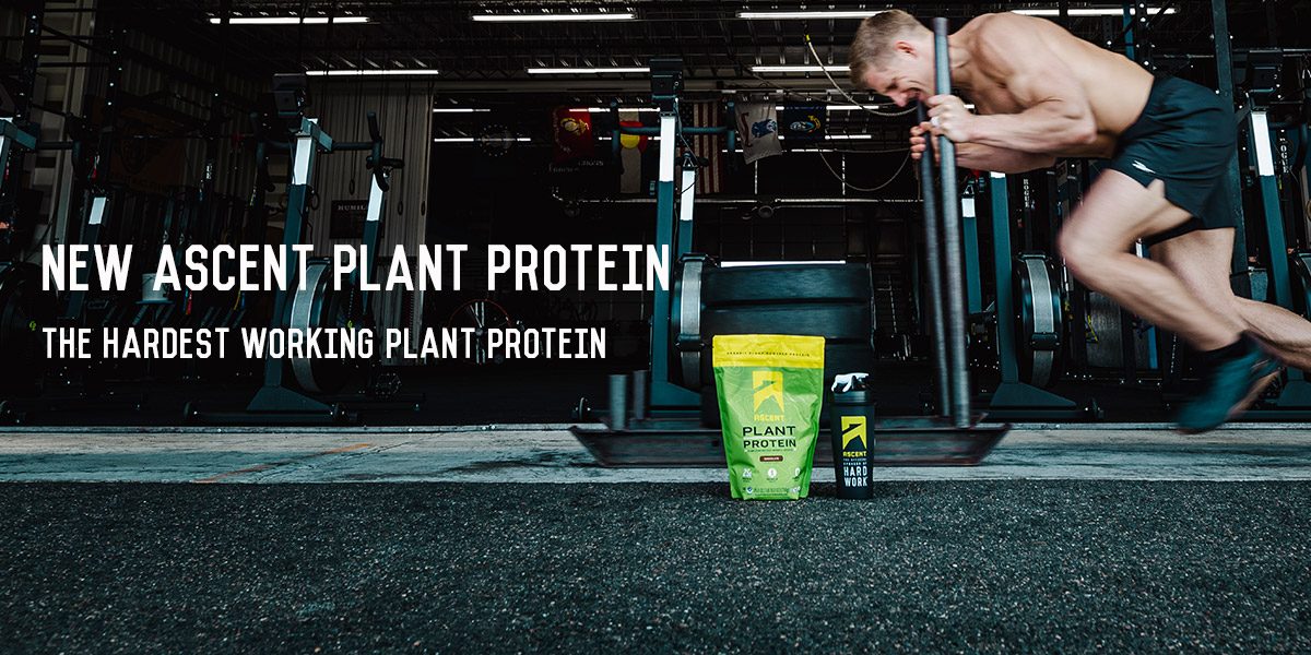 “This is the Best Plant Protein I’ve Ever Tried”